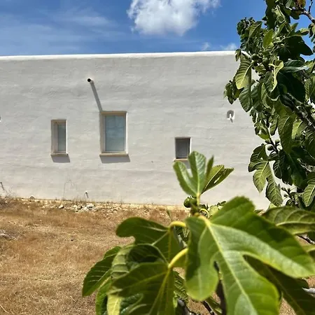 Holiday home Antica Pajara Salentina Il Fico D'india *