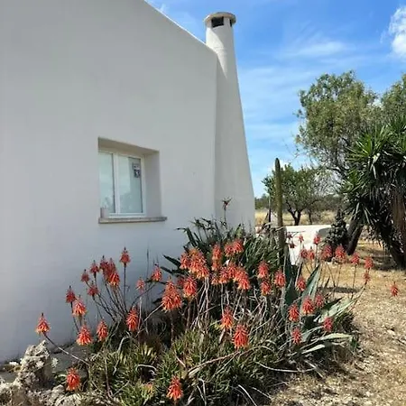 Antica Pajara Salentina Il Fico D'india Holiday home *