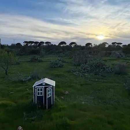 Antica Pajara Salentina Il Fico D'india Holiday home
